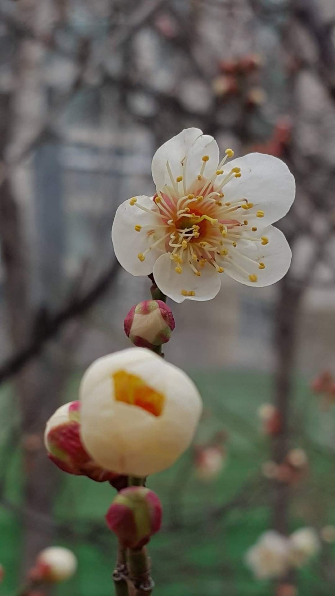 귀인 이미지