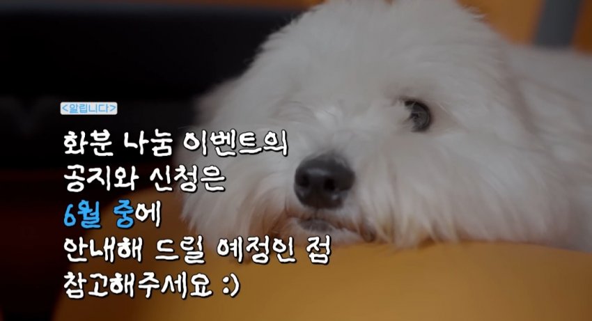도자기랑그림이랑 이미지