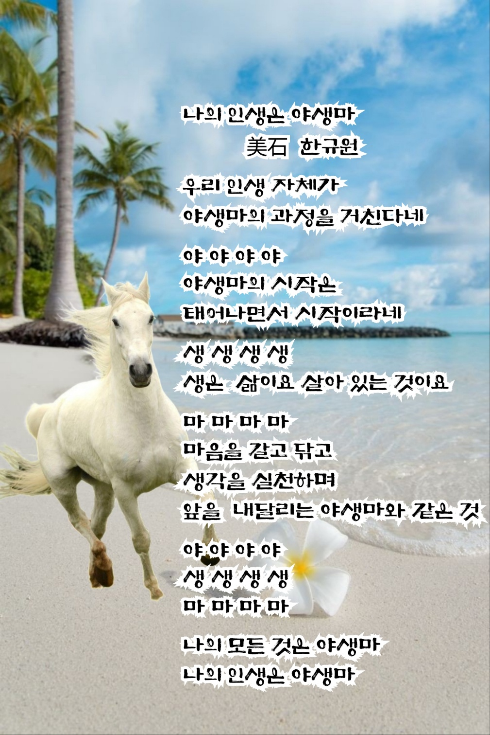 야생마 이미지