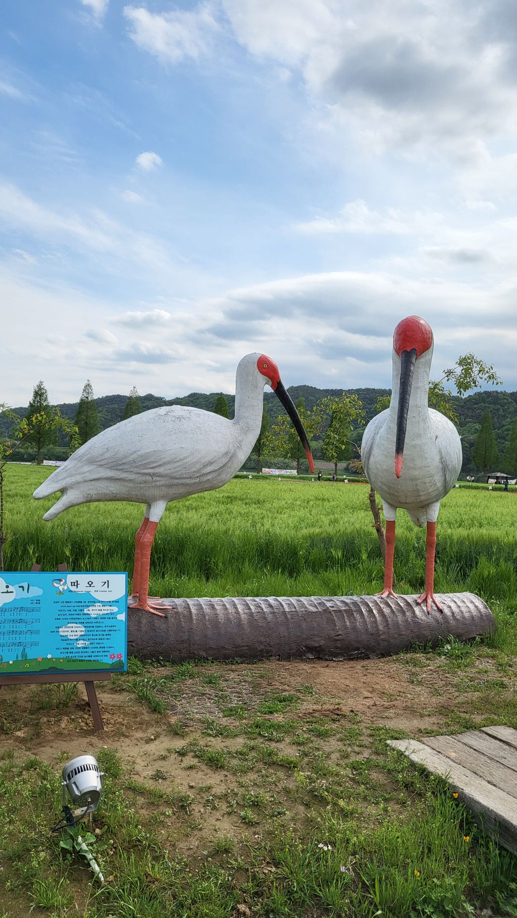 8시 이미지