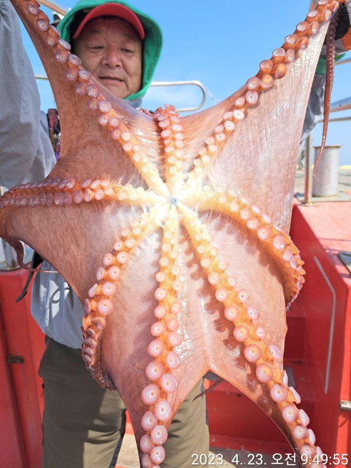 성복호 이미지