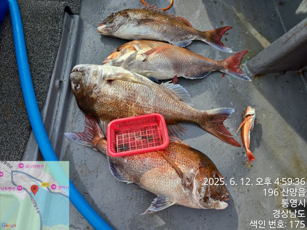 신광낚시 이미지