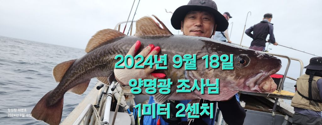 해병호 이미지