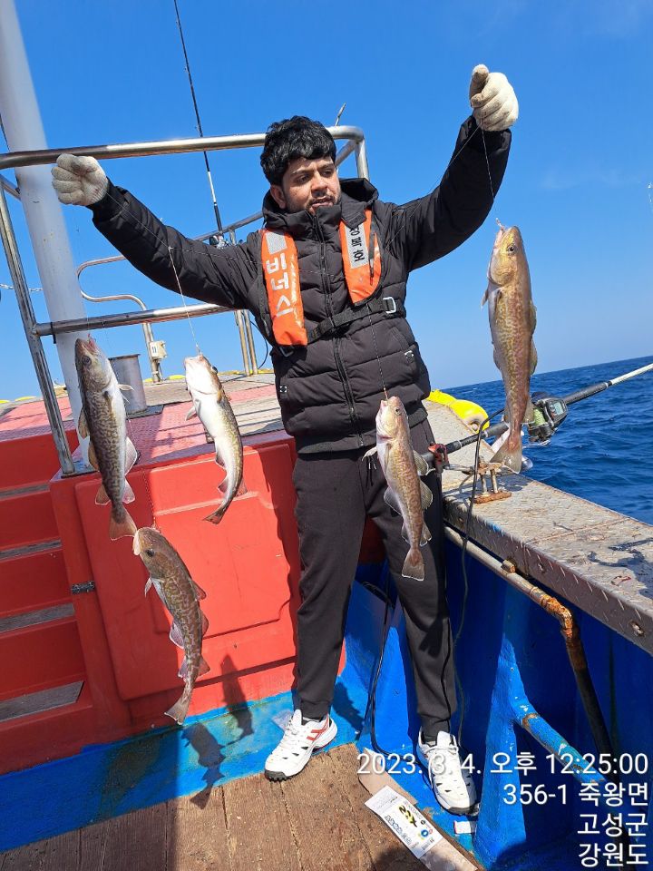 성복호 이미지