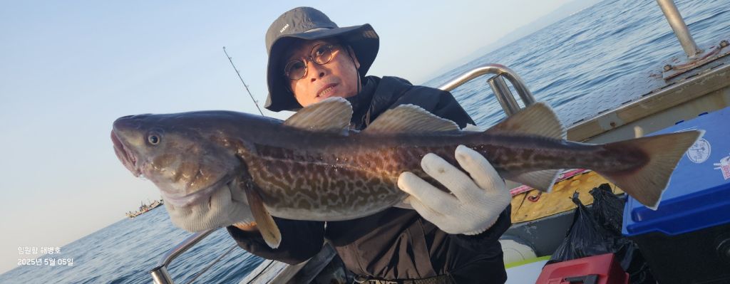해병호 이미지