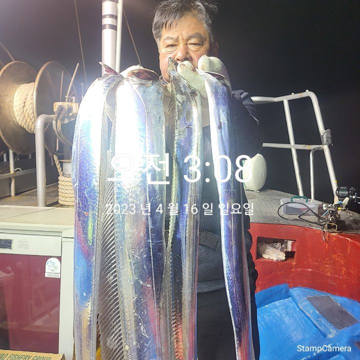 뉴태진호 이미지