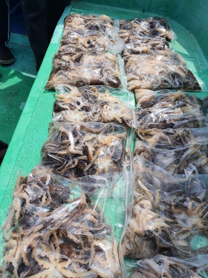 서해낚시 이미지