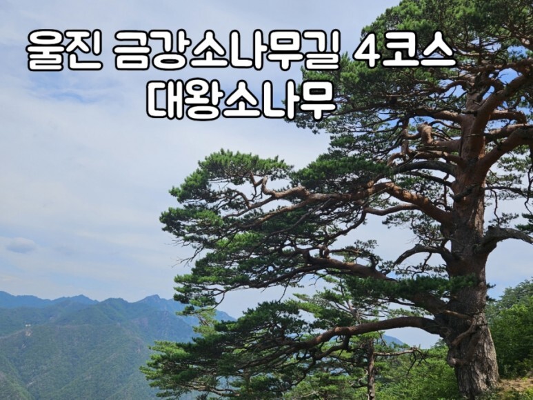 강산주유소 이미지