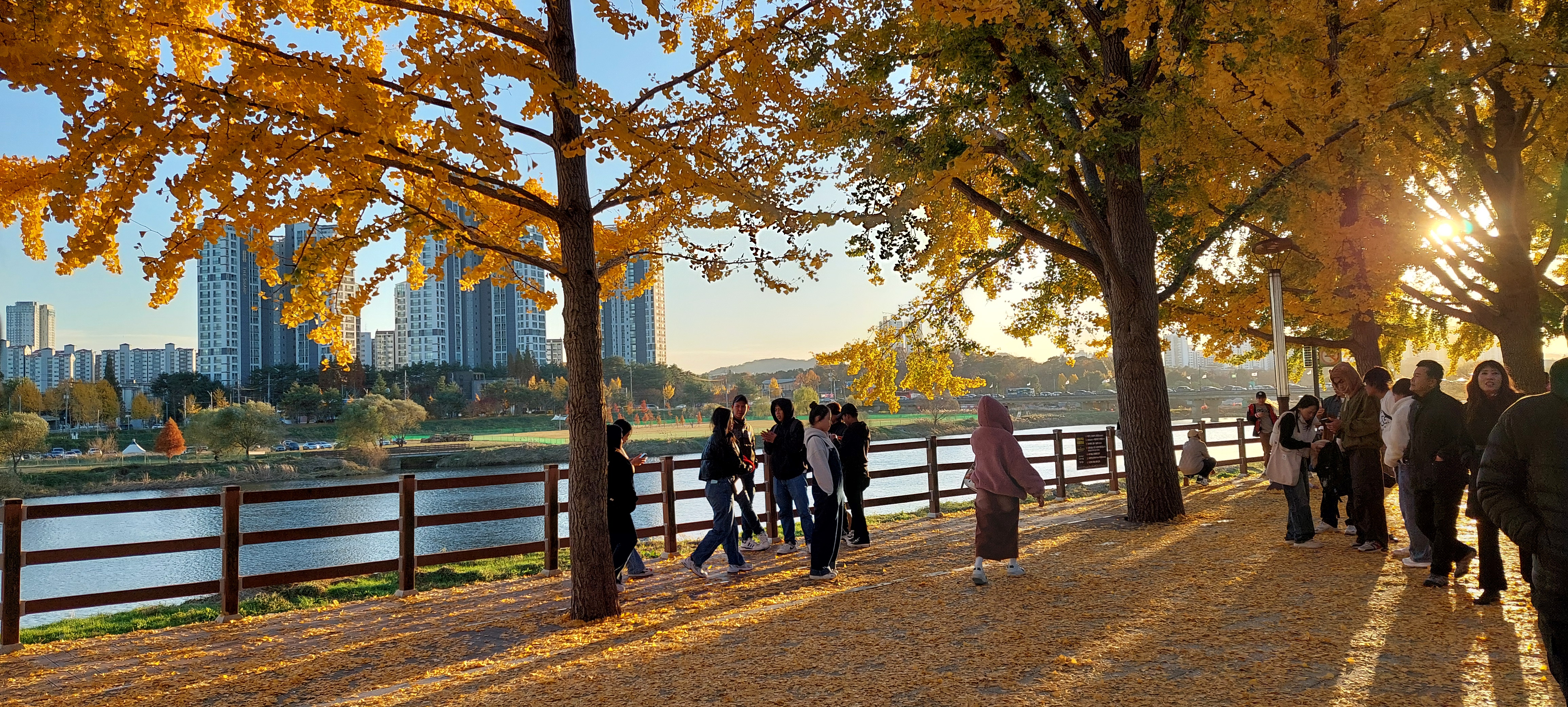 (주)여행과나무 이미지