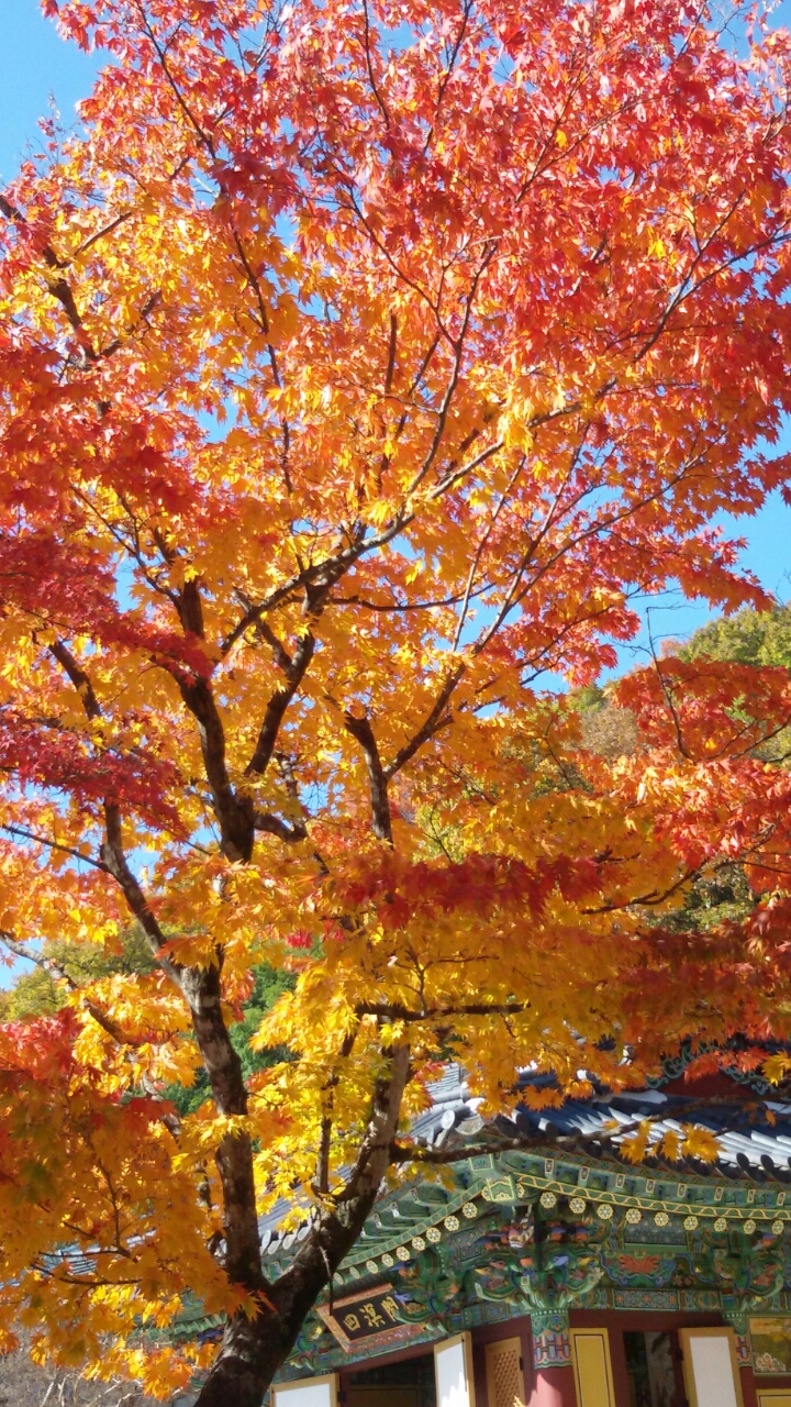 화성.오산 마음드리 봉사단 산악회 소식 - 자유게시판 - 마음드리봉사단 화성.오산 마음드리 봉사단 산악회 소식