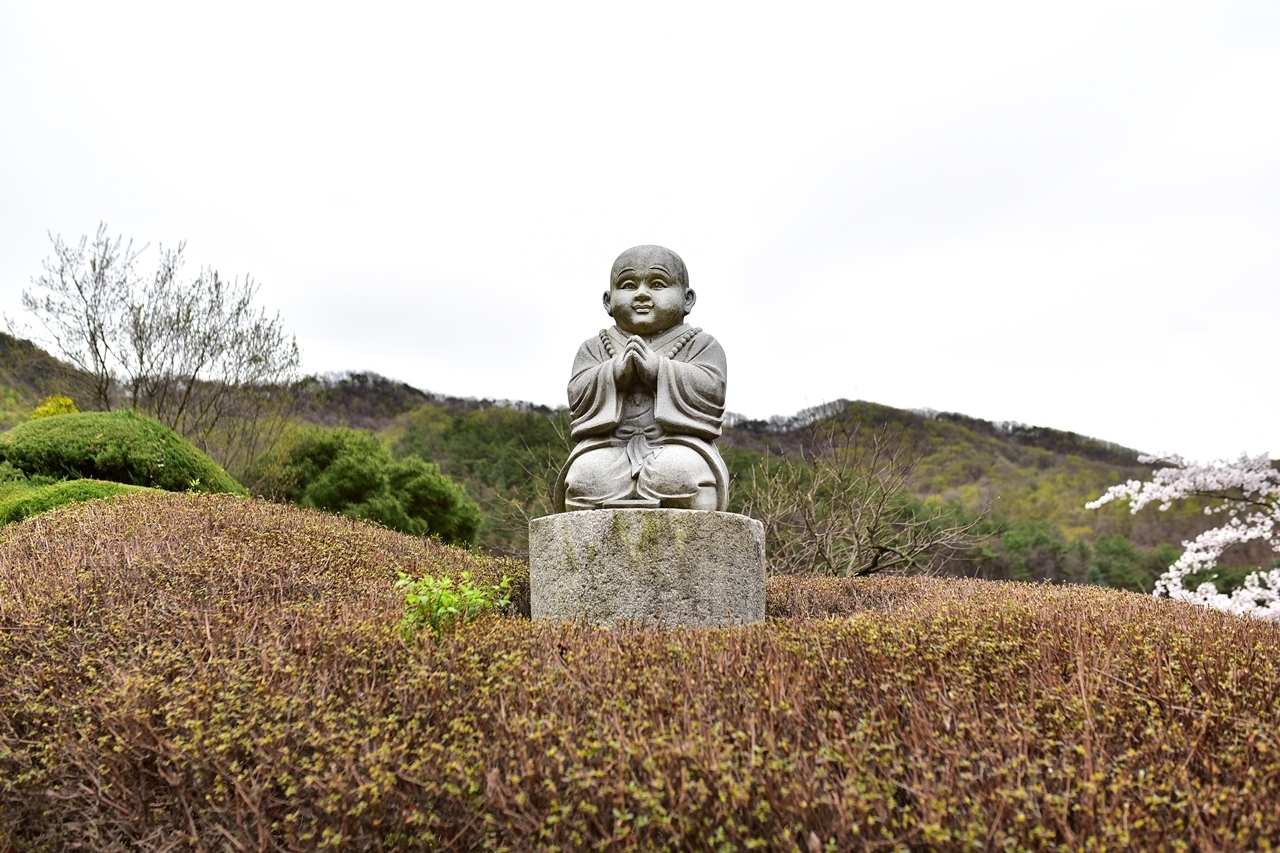 살다보면 이미지