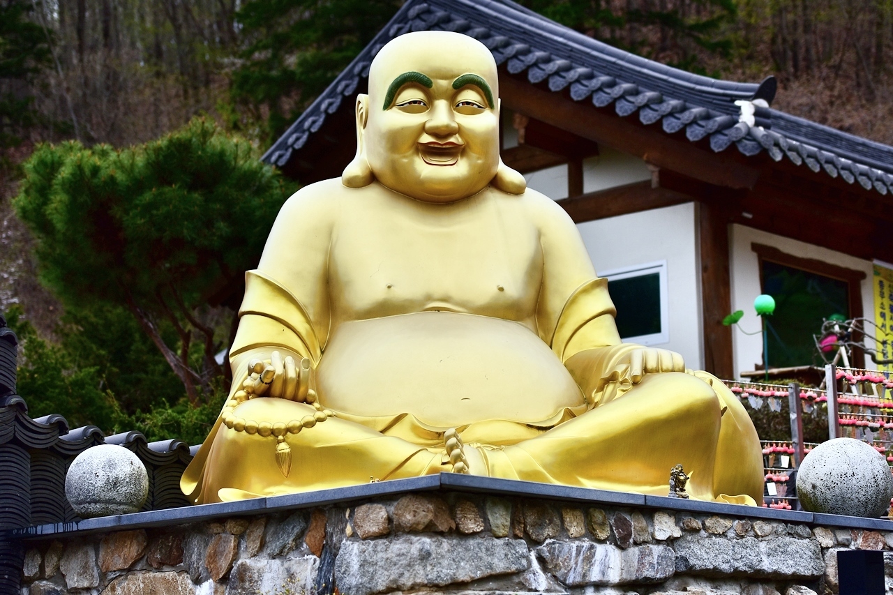 살다보면 이미지