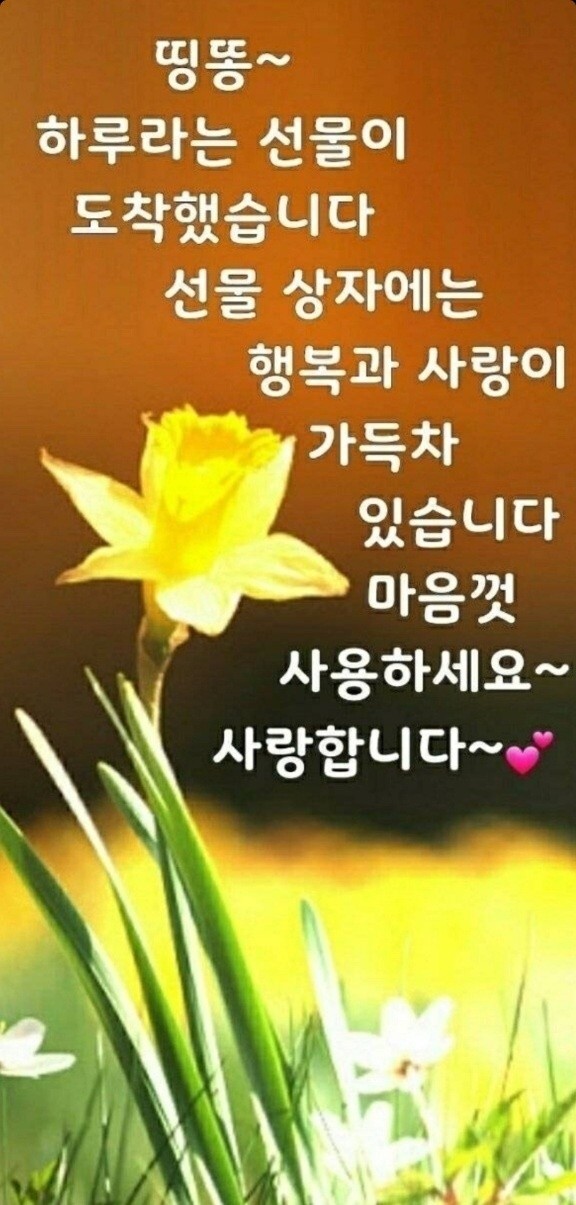 띵똥~~ - 자유게시판 - 마음드리봉사단 띵똥~~