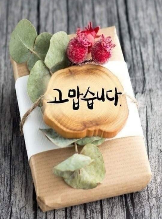 금상첨화 이미지