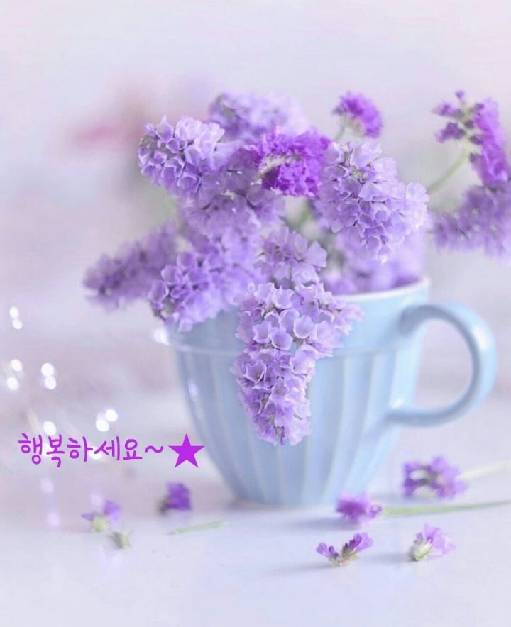 따따부따 이미지