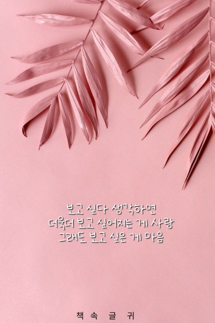 따따부따 이미지