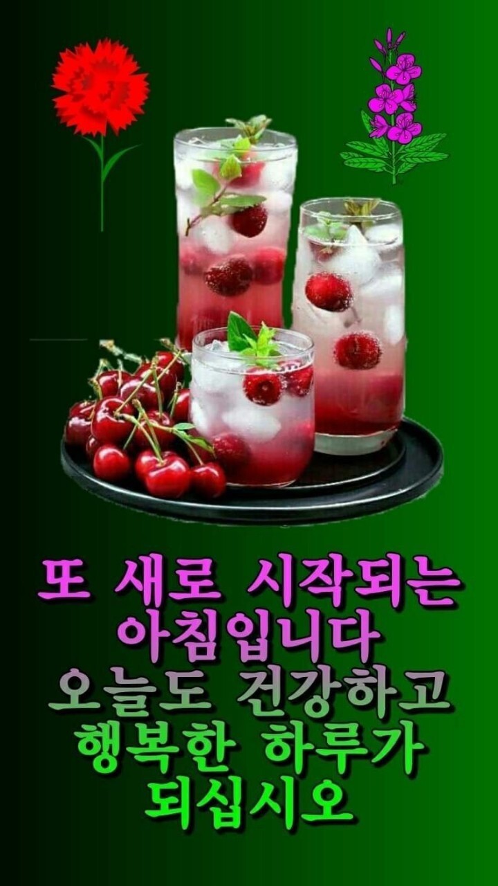 따따부따 이미지