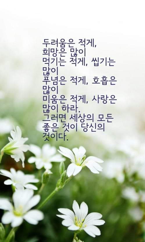 선문 이미지
