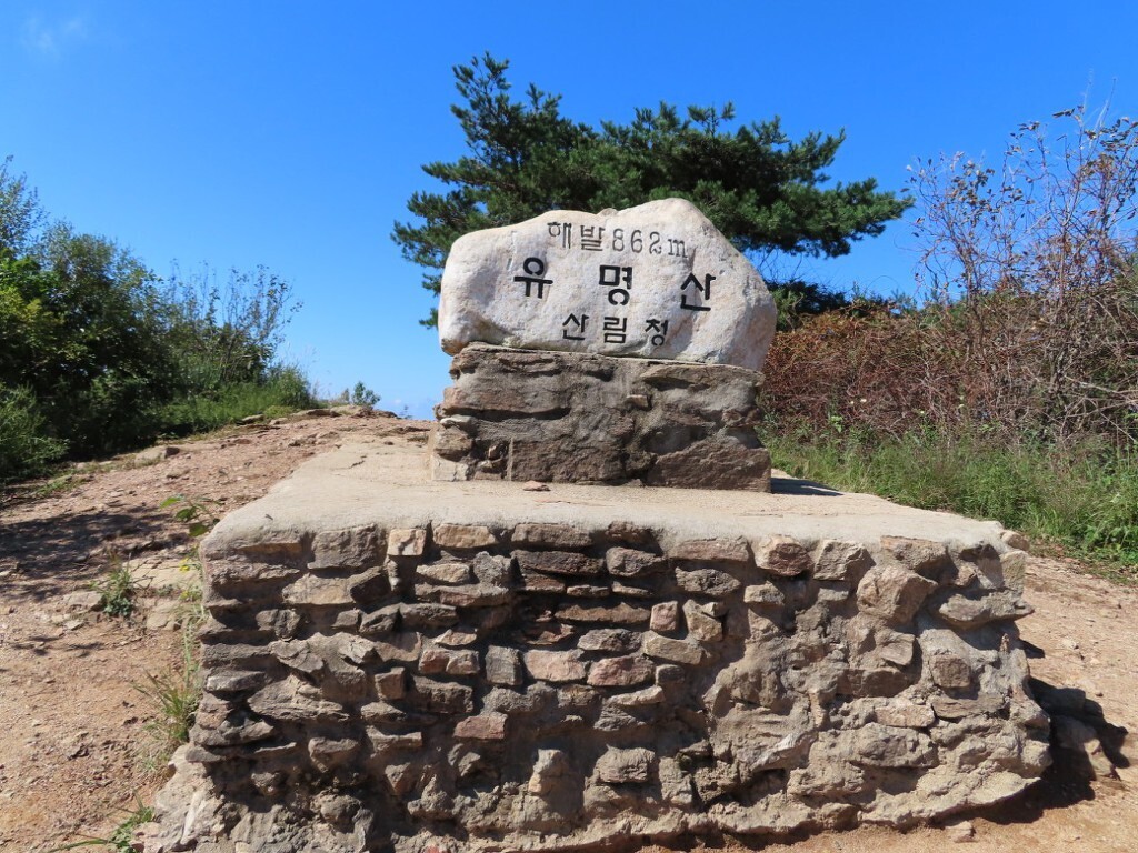 daum