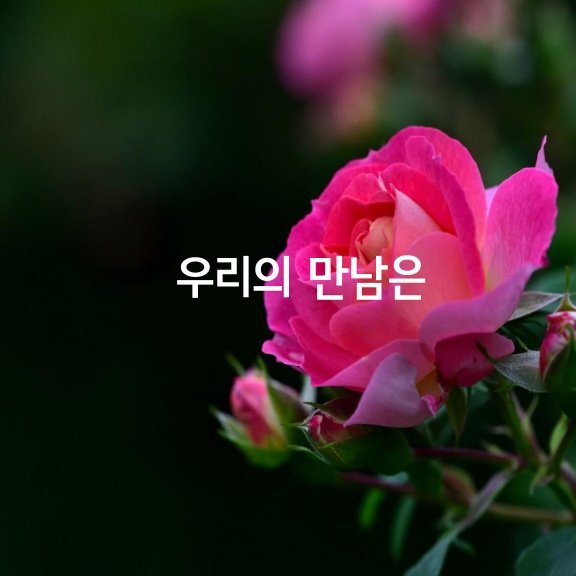 만남 이미지