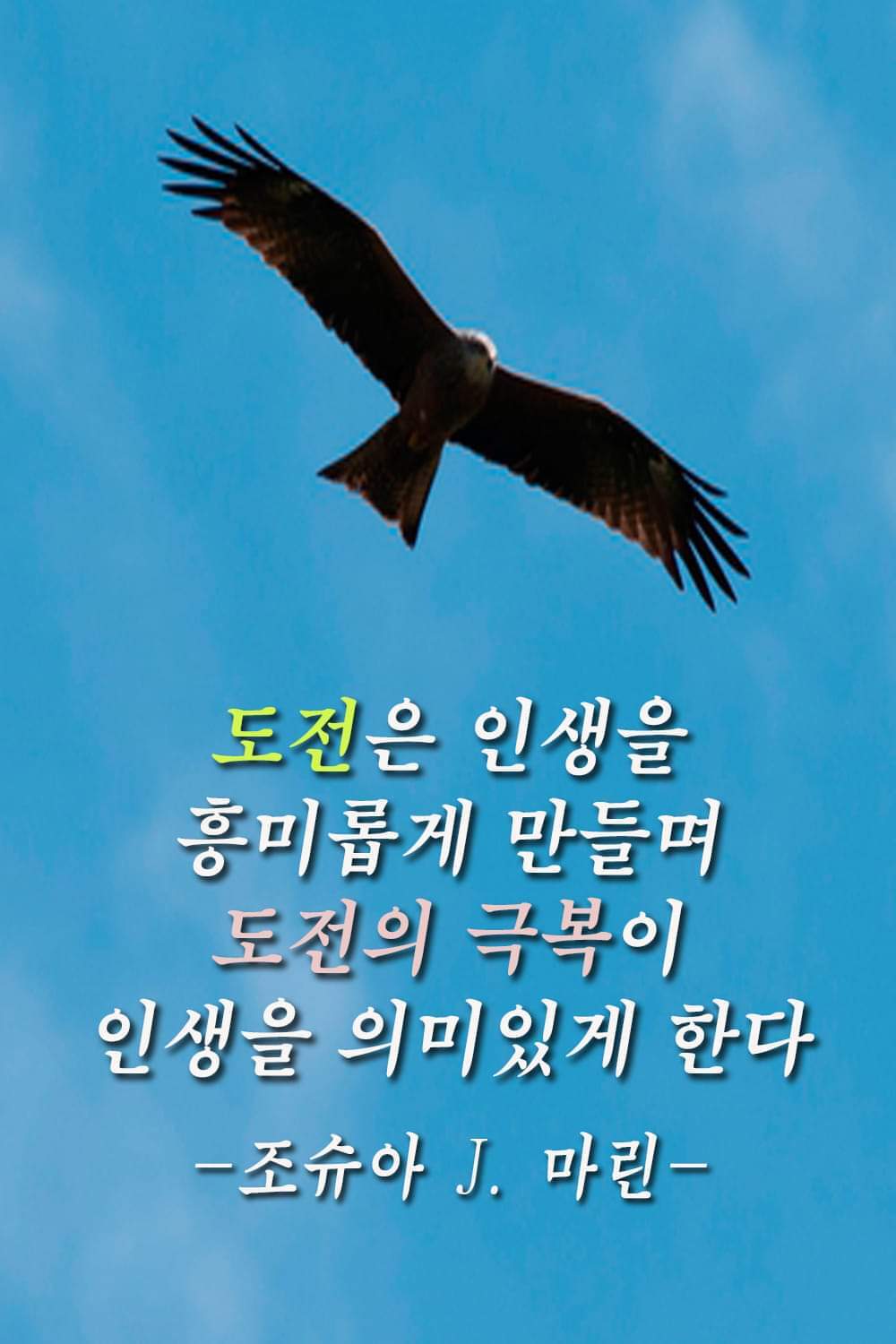 물소리바람소리 이미지