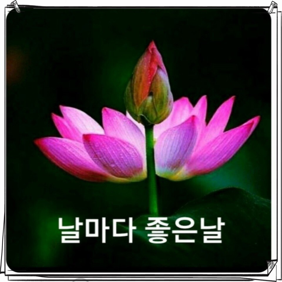 여왕모자 이미지