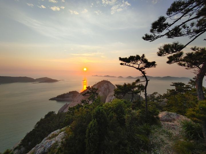 최근희소식 이미지