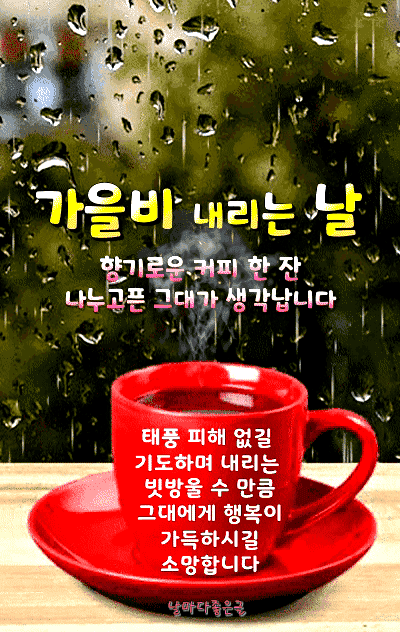 왕비다방 이미지