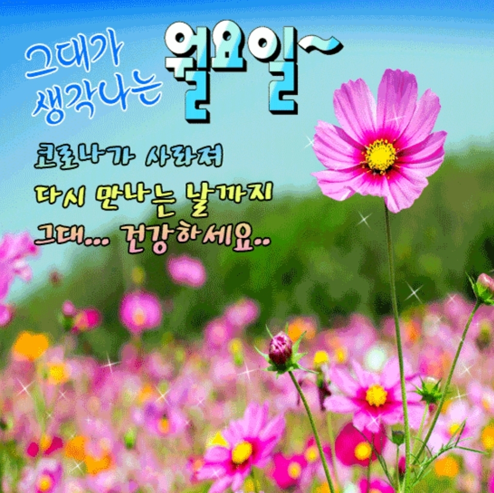 행복한 아침 이미지