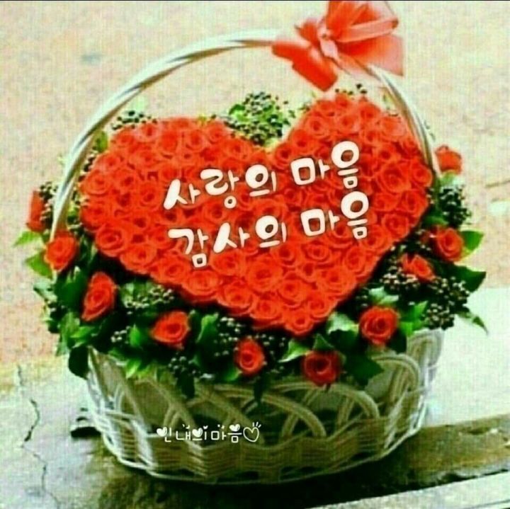 녹취록 이미지