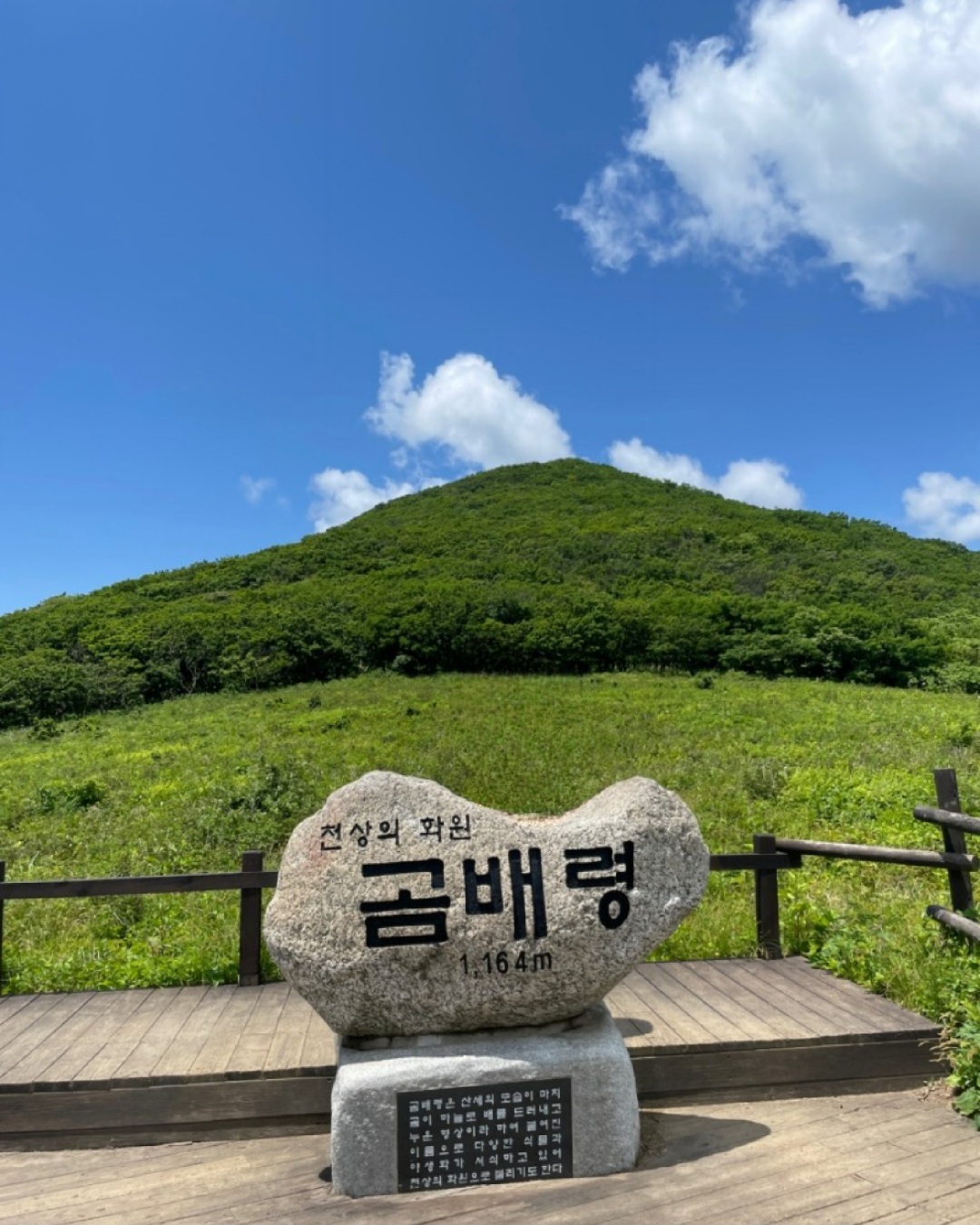 점봉산막국수 이미지