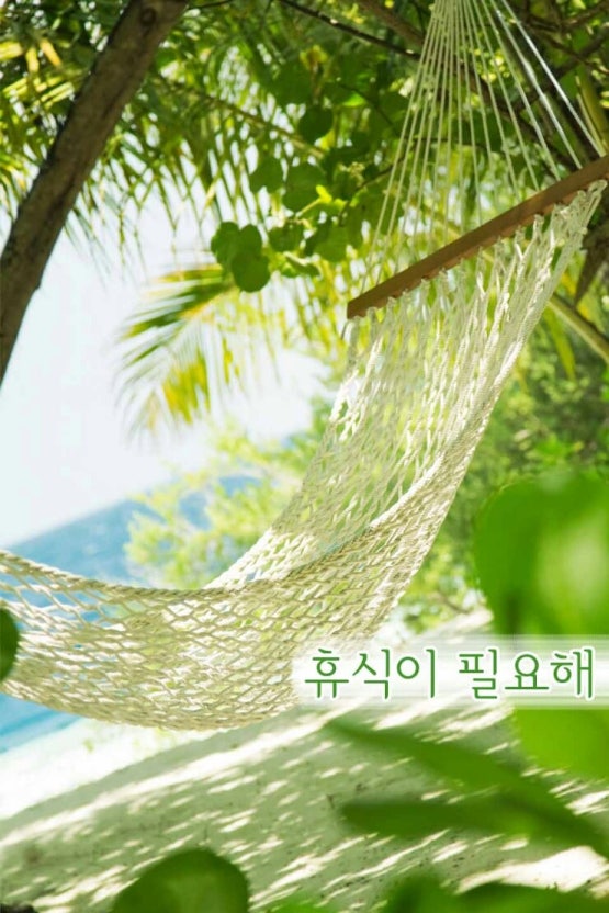 (주)수목 이미지