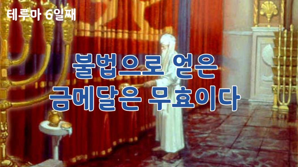 토라 이미지