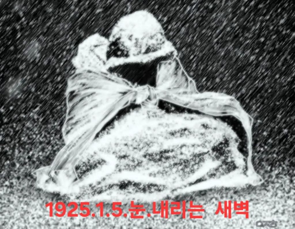 토라네 이미지