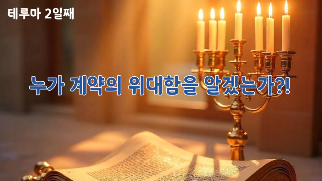 토라 이미지