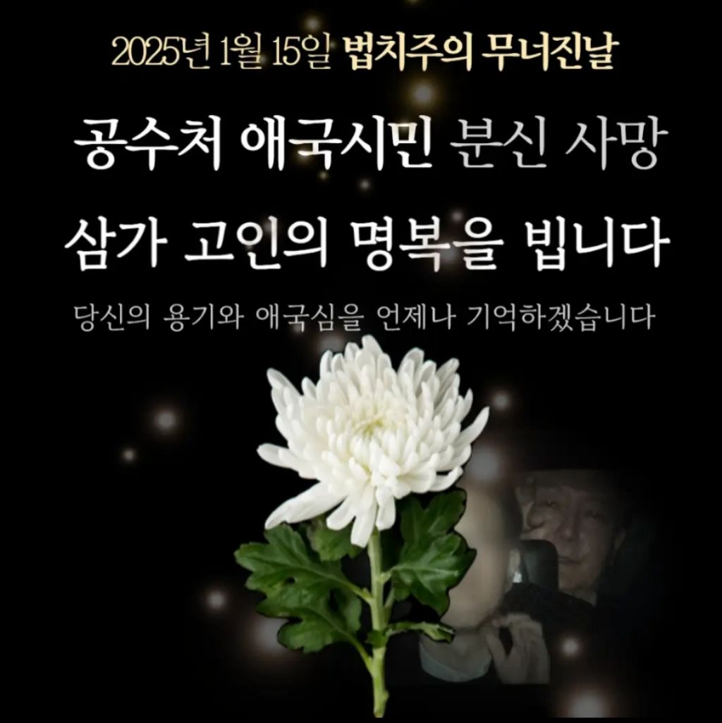 토라 이미지