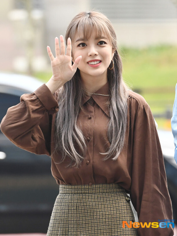 수연 이미지