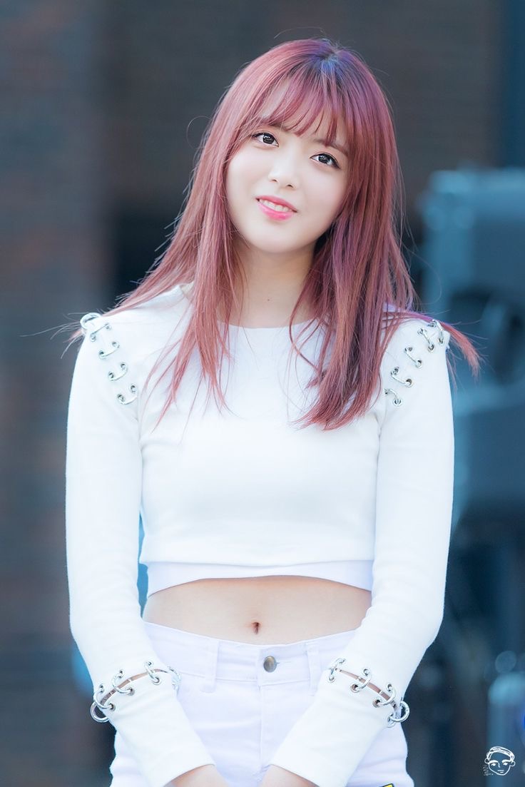 수연 이미지