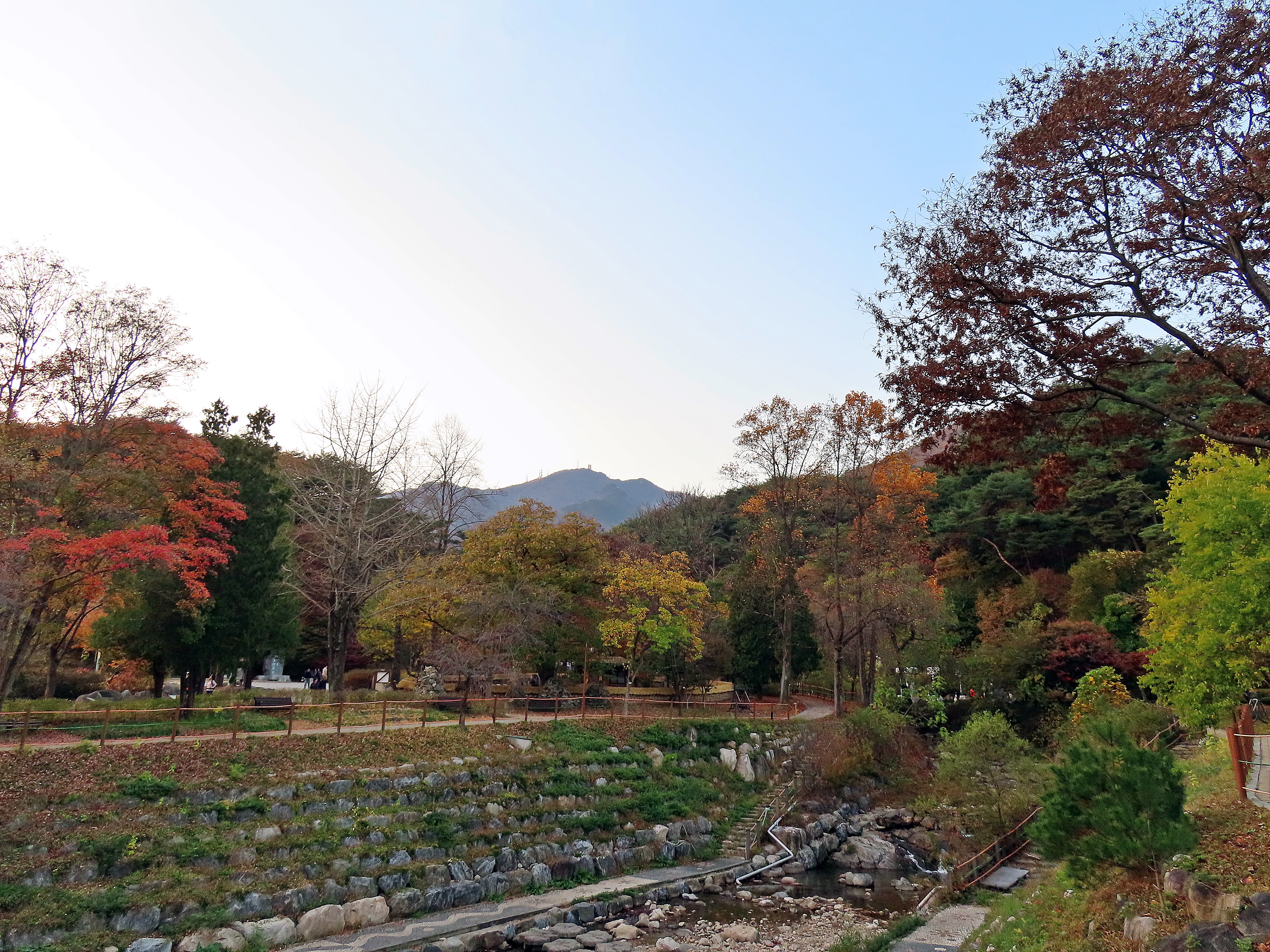 용문산 이미지