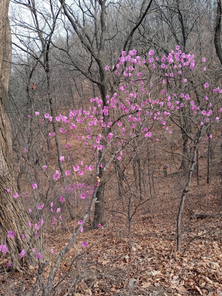 진관사3(주차장) 이미지