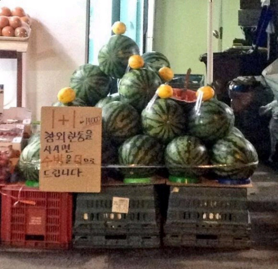 원플러스원 이미지
