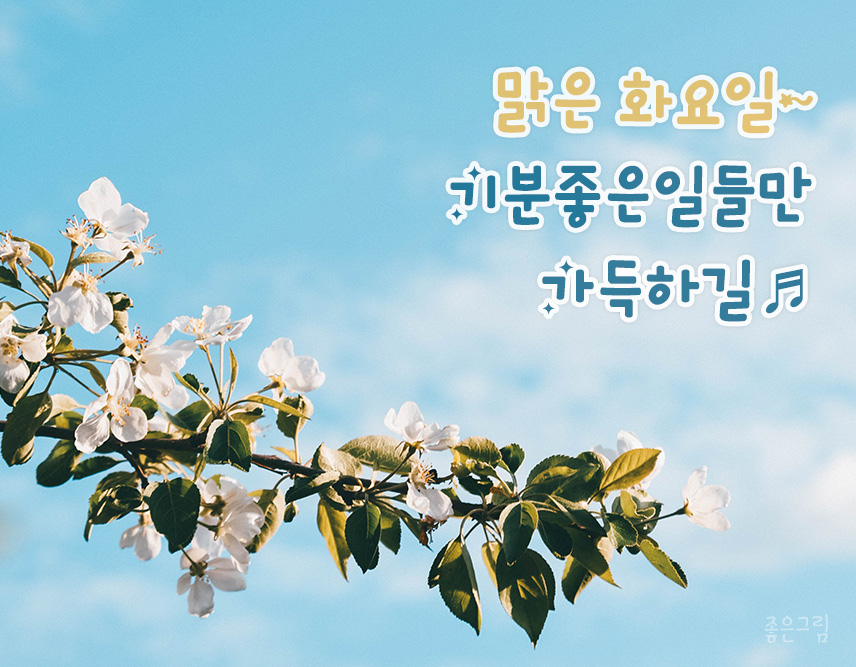 화요일 이미지
