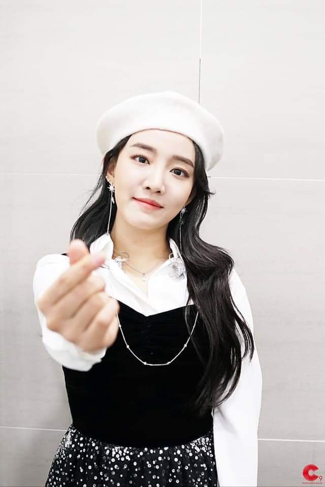 홀릭스 이미지