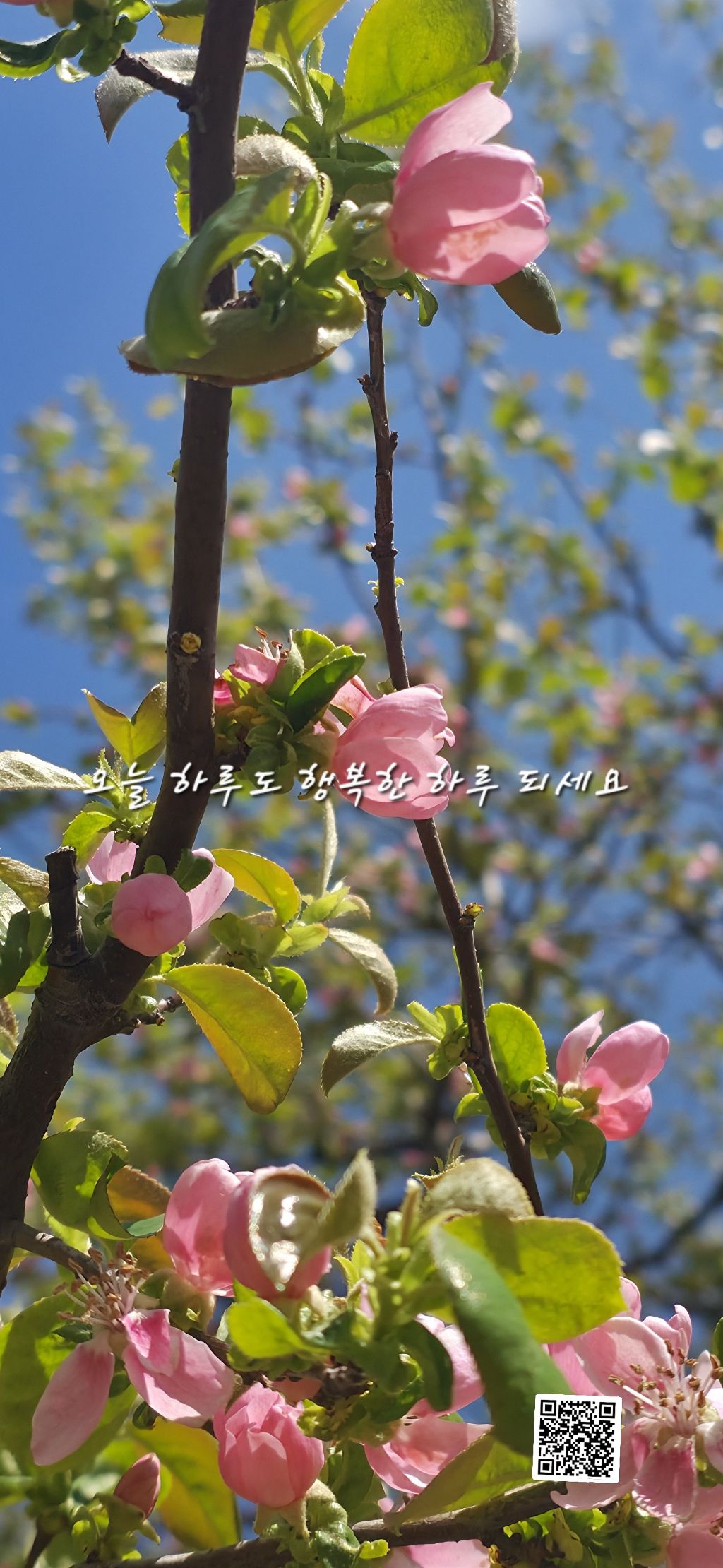 행복 이미지