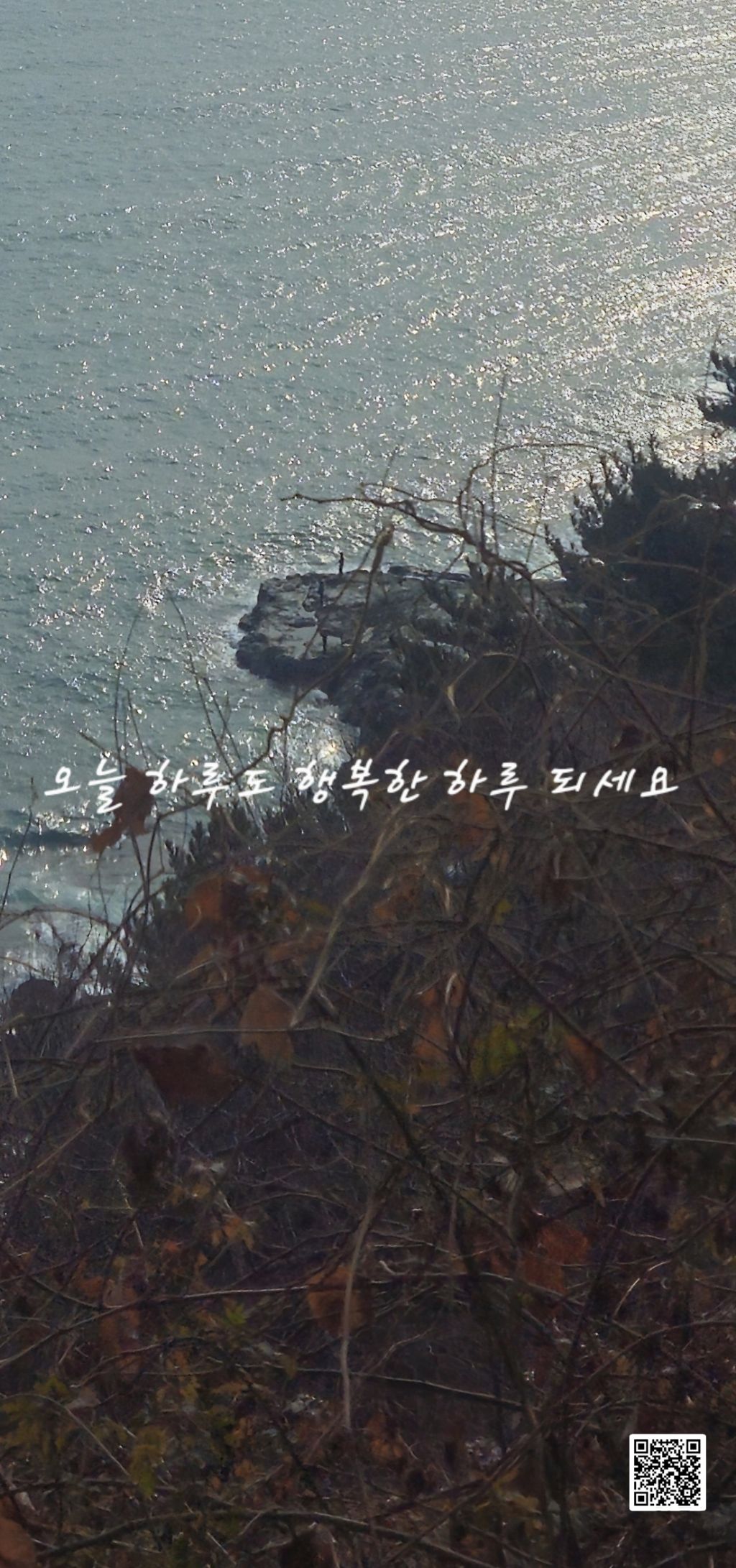 형상 이미지