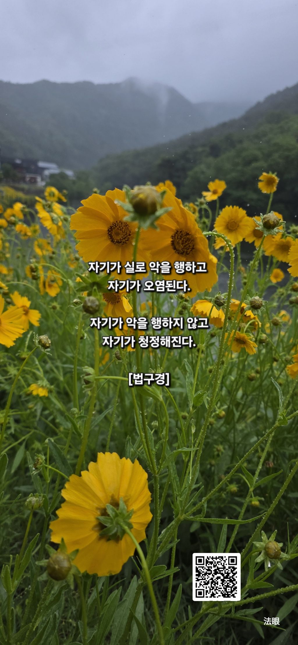 실로 이미지
