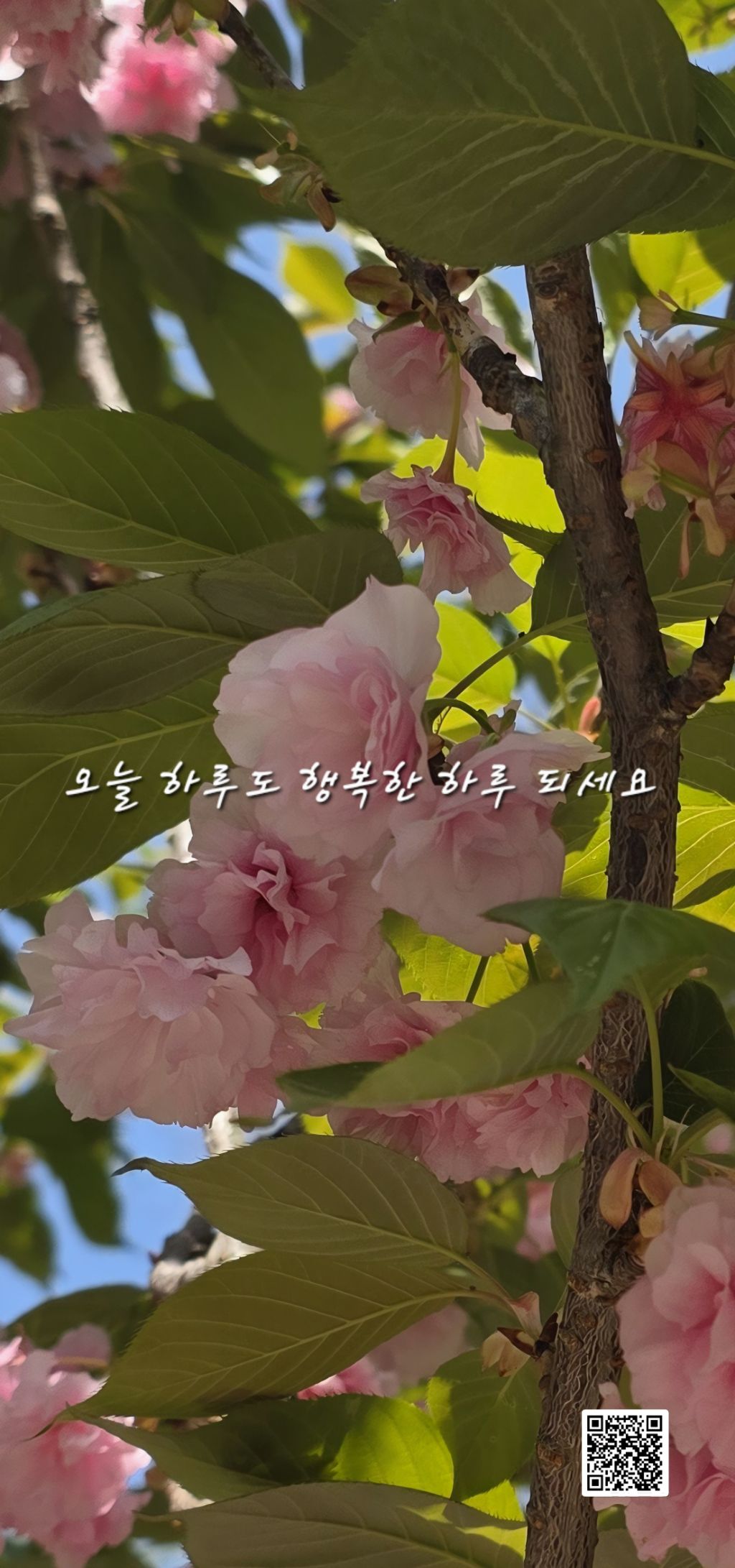 신념 이미지
