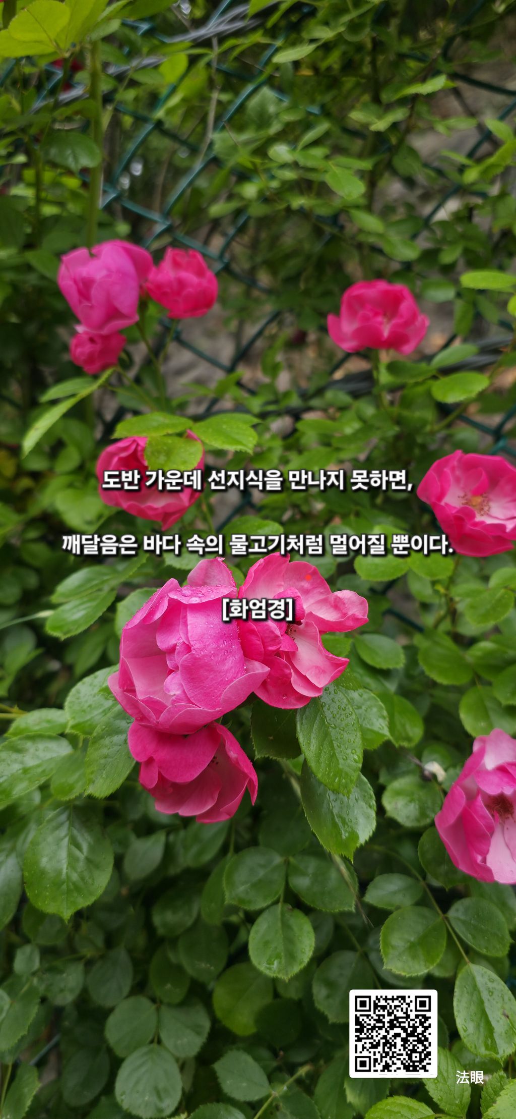 가운데 이미지