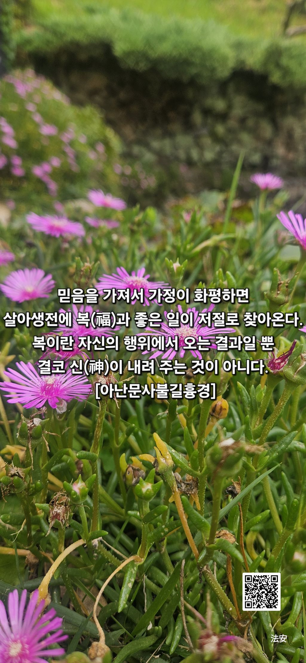 화평 이미지