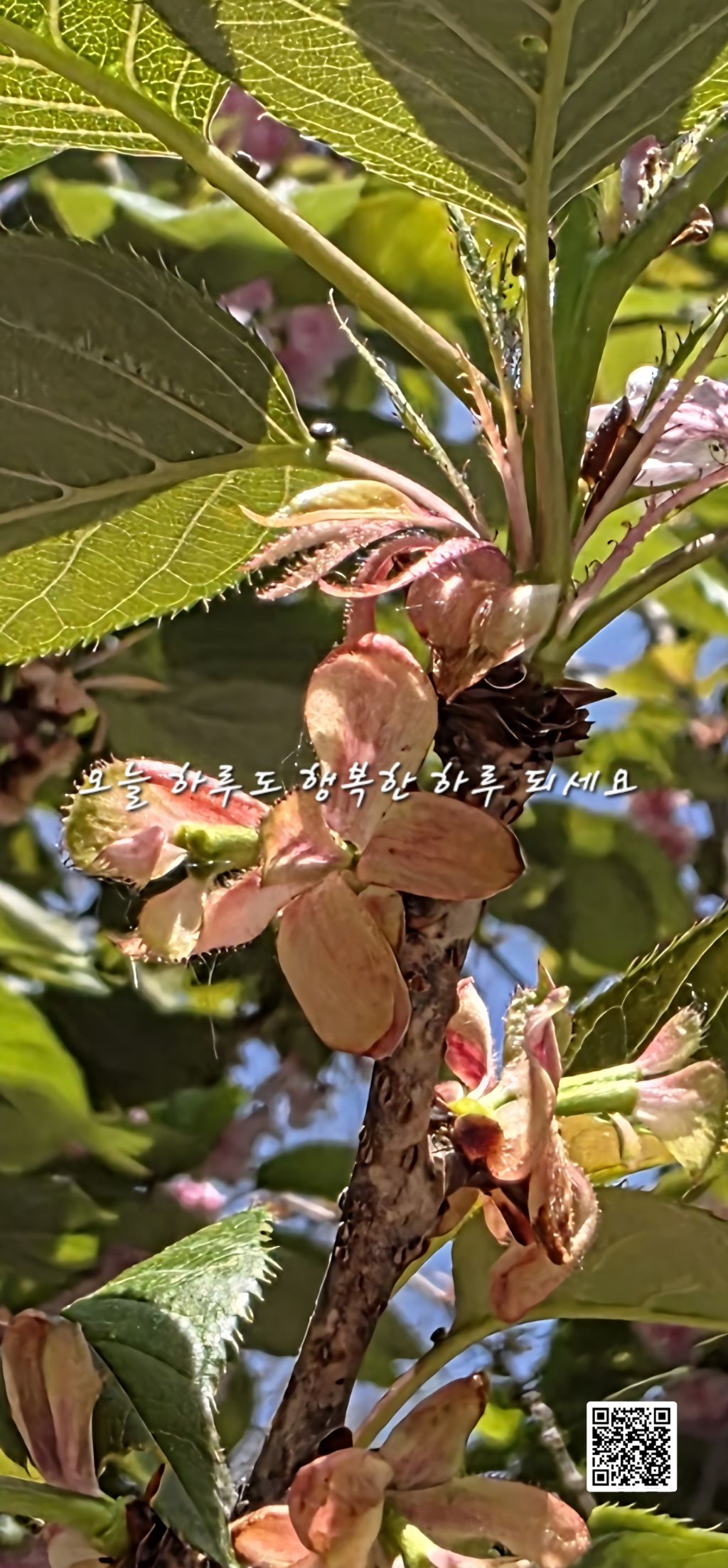 지혜로움 이미지